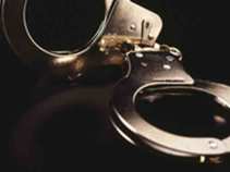 SJPD Make Arrests in Trick-or-Treat Attacks