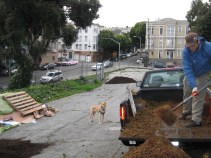 Hayes Valley Sprouts a Farm 