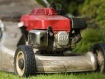 Leafblower Ban Fails in Sebastopol