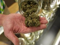 Pot Clinic Cleared for Move to Former Candy Company