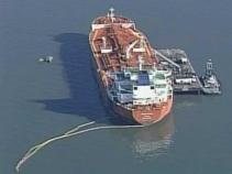Bay Oil Spill Takes First Victims