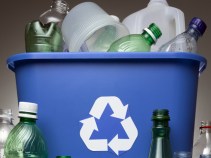 Why Too Much Recycling is Bad for Berkeley