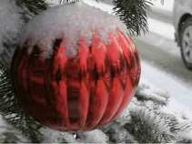 Downtown Delight: Snow in SF Forecast this Holiday Season