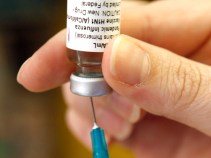 U.S. Short Swine Flu Vaccine For Flu Season Start