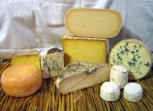 Say Cheese! It's the Artisan Cheese Fest