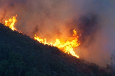Cal Fire Taking Heat Over Summit Wildfire
