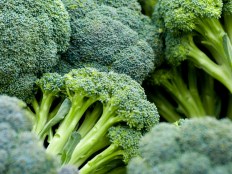 Cal Study: Broccoli 