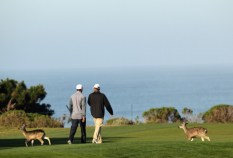 Pebble Beach Ready for Its Close-Up