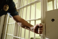 Officer Assaulted With Tree Branch