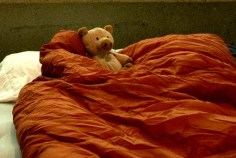 Science Sleepover for Grown-ups