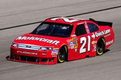 Daytona Winner In Bay Area