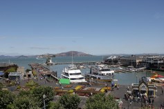 San Francisco Bay Closed to Commercial Fishing