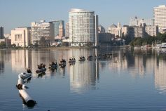 New Sexual Assault Reported Near Lake Merritt