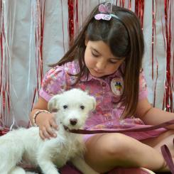 Thousands of Pets Adopted During 