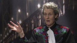 The Interview: Temple Grandin