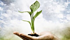 Celebrate Earth Day at These Events