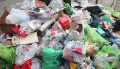 Coastal Cleanup Volunteers Make Their Mark