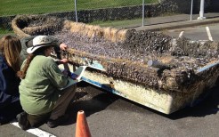 First Confirmed Japanese Tsunami Debris in California