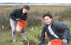 World Environment Day at Save The Bay 
