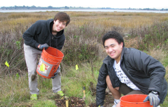 Easter in the Marsh at Creekside Park