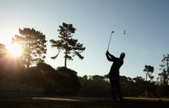 Tiger Is Back and Pebble Is Ready