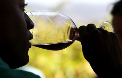 Adventures in Napa Beyond the Wineries