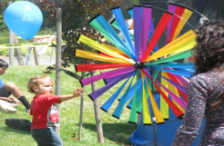 San Ramon Art and Wind Festival