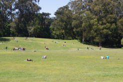 Beach Chalet Fields Renovation Discussed