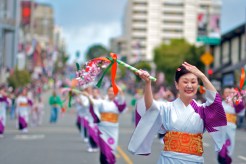 2013 Northern California Cherry Blossom Festival