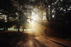 Bay Area Forecast Highs Will Reach the 90s