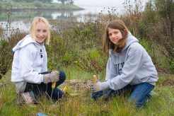 Save the Bay's Native Plant Nursery
