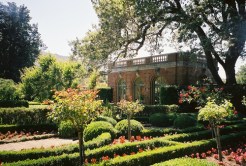 Petal Tales, Once Upon a Time