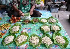 Eat Bugs, Save the Planet