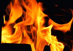 7/15: Tears For Fears, a Fire Festival, and a Movie