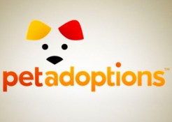 Pet Adoptions: 