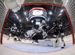 Sharks on the Brink