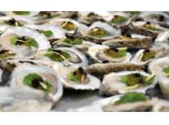 Drakes Bay Oyster Co. Recalls Product