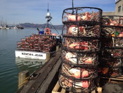Thanksgiving Crab a Sure Thing, But Expensive