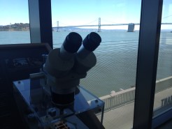 Exploratorium Lifts Curtain For Museum Sneak Peek