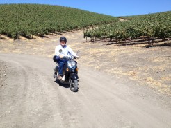 Bay Area Winemaker Offers Scooter Tours