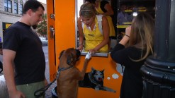 Ali Serves Treats to her Puppy Patrons at Fido