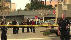 Police Kill Armed Man Vandalizing Patrol Cars