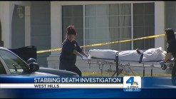 Police Seek Teacher in Wife's Deadly Stabbing