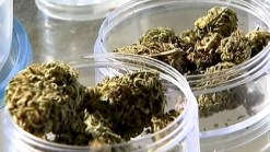 San Jose to Increase Taxes on Medical Marijuana