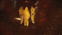 Car crashes into downed tree, killing one inside