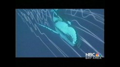 Navy Sued Over Drills off California Coast
