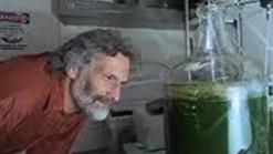 Bay Area Group Turns Algae into Fuel