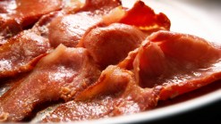 Traveler Uses Bacon To Get From NY To CA