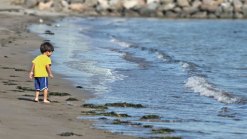 California Beach Water Quality Improving