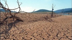 Drought Fears Grip State